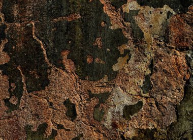 Eski bir sıva duvar.