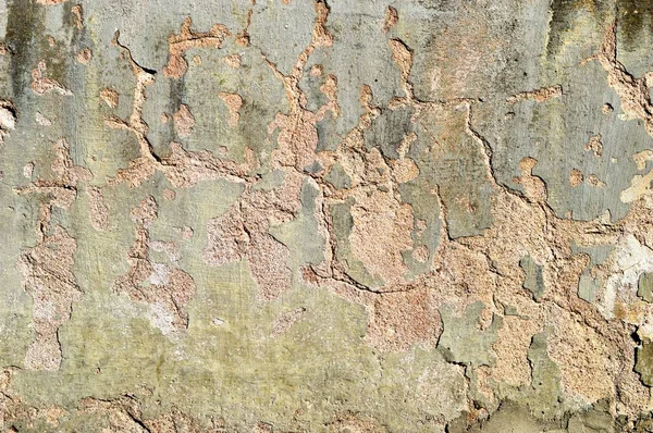 Eski bir sıva duvar.