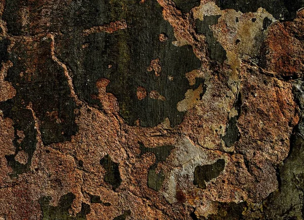 Eski bir sıva duvar.