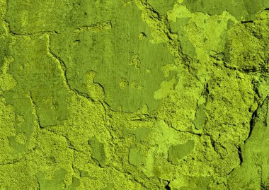 Eski bir sıva duvar.