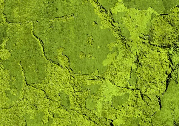 Eski bir sıva duvar.