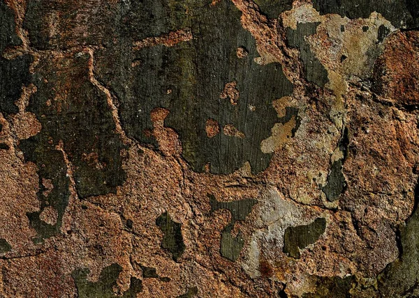 Eski bir sıva duvar.