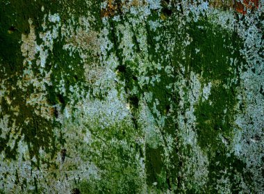 Eski bir sıva duvar.