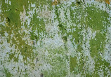 Eski bir sıva duvar.