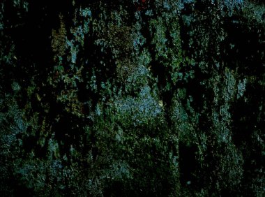 Eski bir sıva duvar.