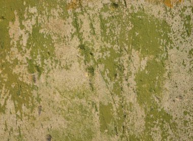 Eski bir sıva duvar.