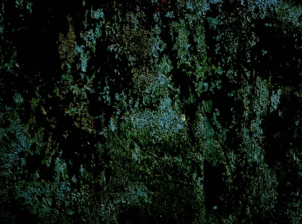 Eski bir sıva duvar.