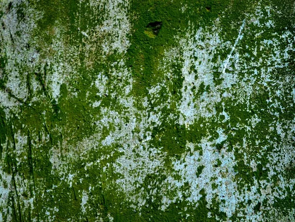 Eski bir sıva duvar.