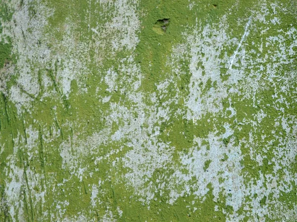 Eski bir sıva duvar.