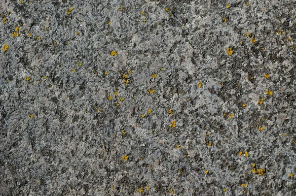 Uma Textura Pedra Cinza — Fotografia de Stock