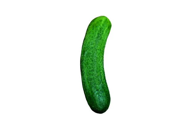 Yalıtılmış Bir Yeşil Salatalık — Stok fotoğraf