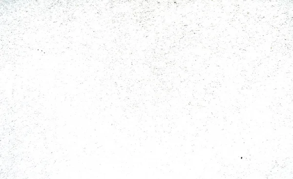 Белый Серый Фон — стоковое фото