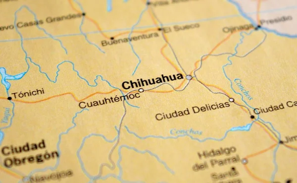 Chihuahua Sur Une Carte — Photo