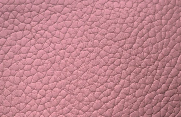 Una Texture Pelle Rosa — Foto Stock
