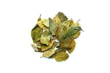 Saha yaprağı beyaz arkaplanda izole edildi