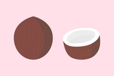 EPS 10 vektörü. Beyaz arka planda bir hindistan cevizi ve yarım hindistan cevizi izole edilmiş. Projeler için iyi.