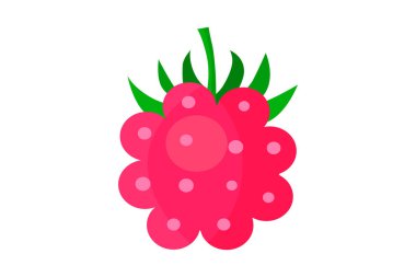 EPS 10 vektörü. Beyaz arka planda sade bir ahududu. Düz meyve. Projeler için iyi.