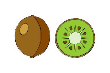 Beyaz arka planda izole edilmiş bir el çizimi kivi. Eşsiz stil, projeler için iyi.