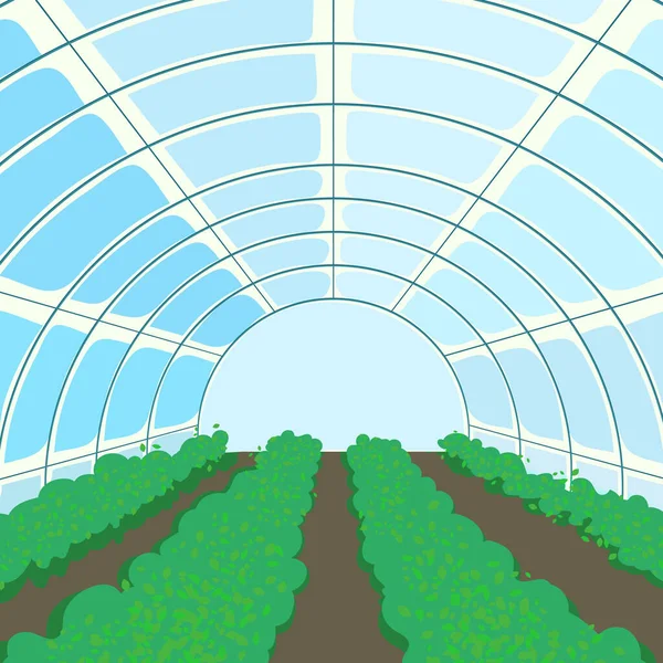 Greenhouse with few lines green vegetable and fruits. — Stock Photo, Image