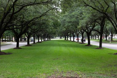 şehir merkezinin ana yol ortamda. Kingwood, Tx
