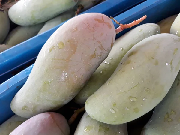 olgunlaşmamış yeşil mango mavi sepet içinde