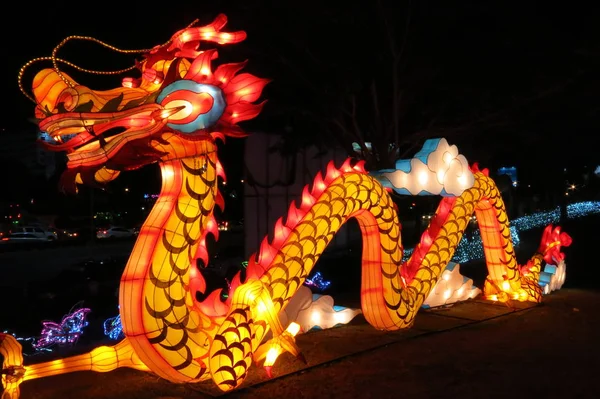 gece ışık ejderha