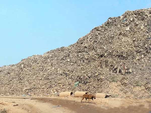 the large landfill site or rubbish dump with the blue sky and a dog walking around