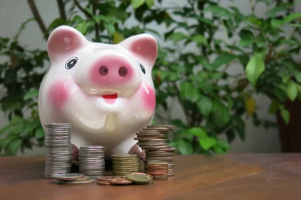 pembe bir kumbara yaprak yeşil arka plan ve beyaz duvar ile kahverengi ahşap masa üzerinde bazı paralar ile iş, finans ve para tasarrufu kavramını açıklar          