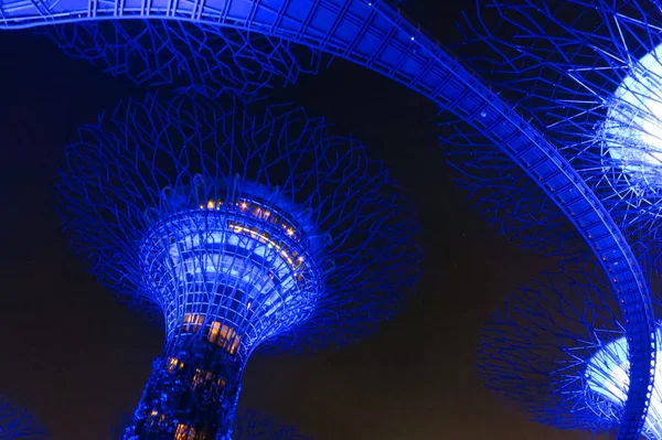 Singapur,Singapur-Şubat 2019: Mavi ışıkile gece saatlerinde Singapur'da Bay by the Beautiful Gardens. Karanlık gökyüzünde olağanüstüdür.    