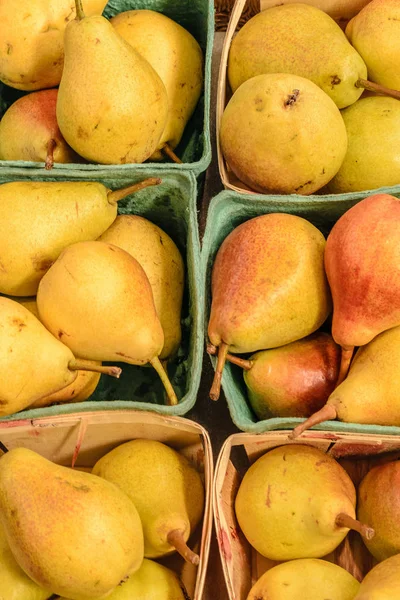 Williams aynı zamanda Bartlett armut dışarı kutuları Kanada'da bir çiftçi pazarda sergilenen bilinen armut.