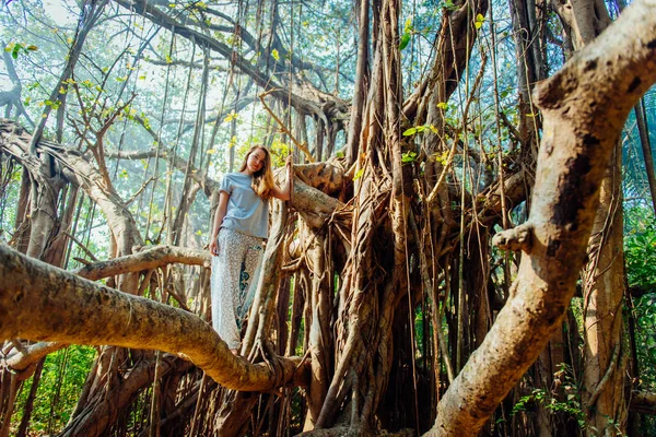 Young woman in casual wear posing on banyan banjan tree during vocation in India Goa asia