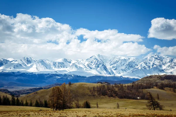 Amazing mountain landscape. Rocky mountains with snowy peaks, hills covered with grass in the Alpine scene on a bright sunny day with blue sky and clouds. View of steppe and snow-covered mountains.