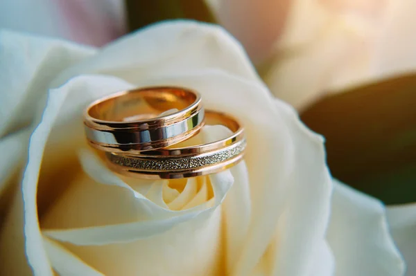 Pair of gold rings on rosebud, close up. Two golden wedding rings laying on light beige roses, blurred background, soft focus.