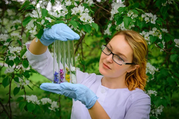 Beautiful female scientist in medical gloves holds test tubes with flower petals on the background of blooming tree in botanical garden, close-up. Creation of a perfume fragrances, natural cosmetics.
