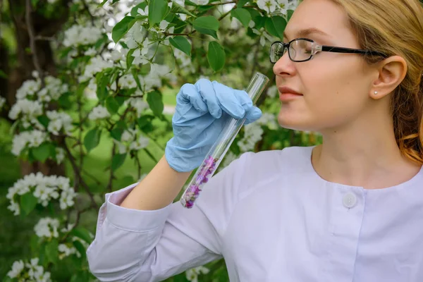 Beautiful female scientist in medical gloves inhales aroma from test tube with flower petals on the background of blooming tree in botanical garden, close-up. Creation of a perfume, natural cosmetics.