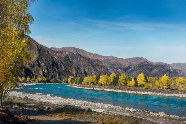 Colorful mountain landscape. River valley on sunny autumn day. Turquoise river on the background of rocks, yellow birch trees, blue sky. Natural backgrounds, images for advertising, photo wallpapers.