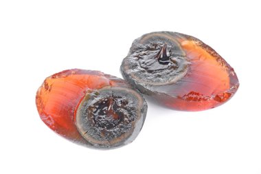 korunmuş ördek yumurta beyaz zemin üzerine