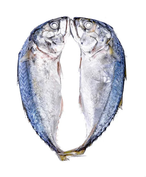Ikan Mackerel Segar Pada Latar Belakang Putih — Stok Foto