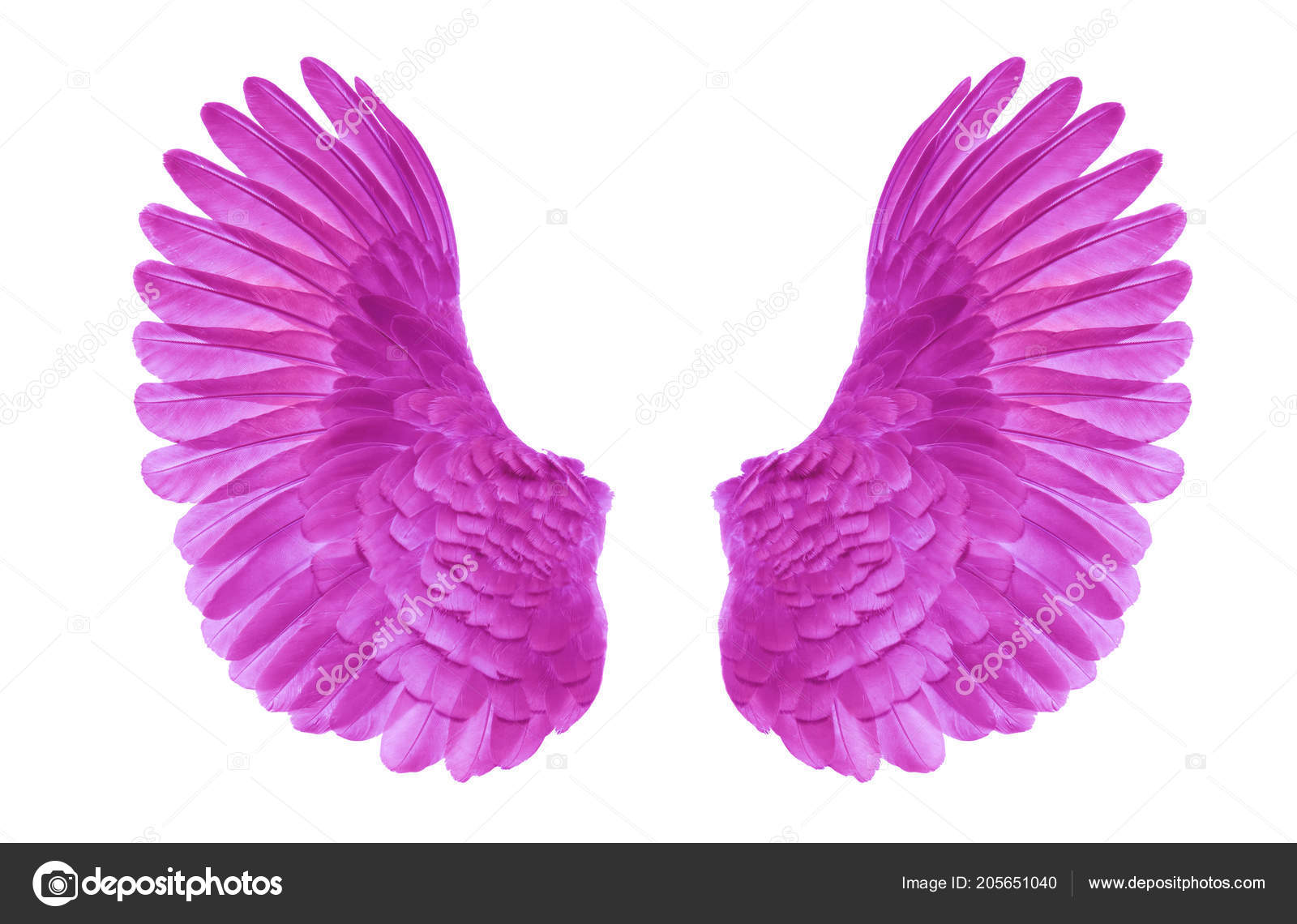 Angel Wings White Background Stock Photo by ©anusorn2005 205651040