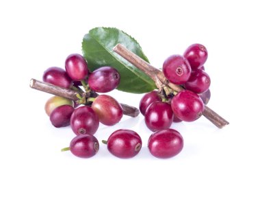 Beyaz arka plan üzerinde izole kırmızı kahve çekirdekleri