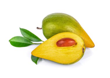 Beyaz arka plan üzerinde izole canistel