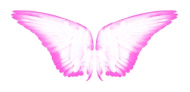 Yayılan beyaz çam ağacında