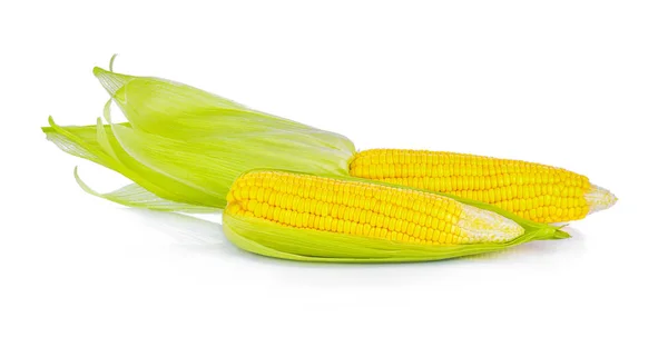Corn White Background — Stock Photo, Image