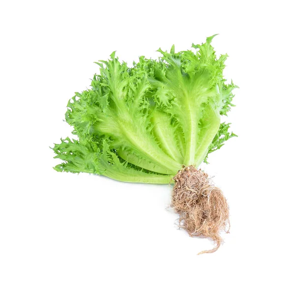 fırfırlı buzdağı beyaz arkaplanda izole edildi