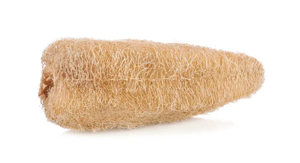 Lif kabağı, lif kabağı sünger ile beyaz arka plan üzerinde yumuşak gölge izole beyaz zemin üzerine kuru