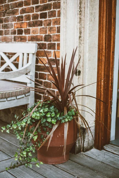 Traditional Skandinavian Outdoor Design House Plants Threshold — Stock Photo, Image