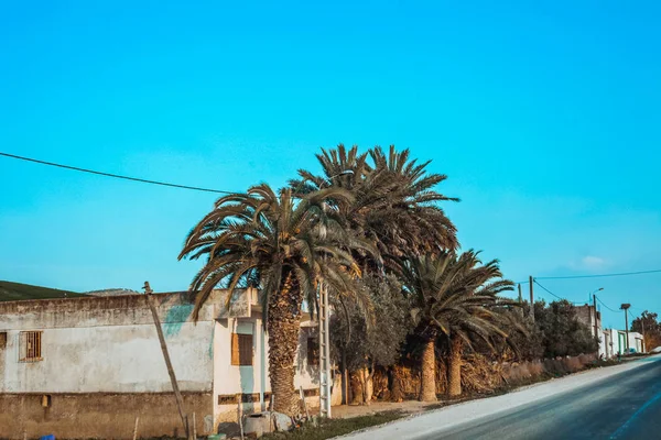 Zicht Lege Weg Met Typische Huizen Van Marokko — Stockfoto