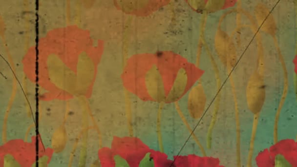 Poppy Bloemen Openen Sluiten Patroon Slow Motion Achtergrond — Stockvideo