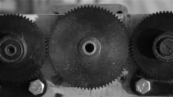 Mechanism Three Gears Slow Motion Construction — Stock Video