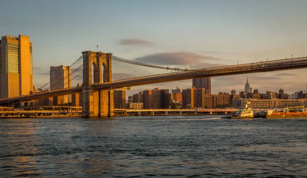 Blootstelling Van New York Skyline Weergave Van Brooklyn Bridge Park — Stockfoto